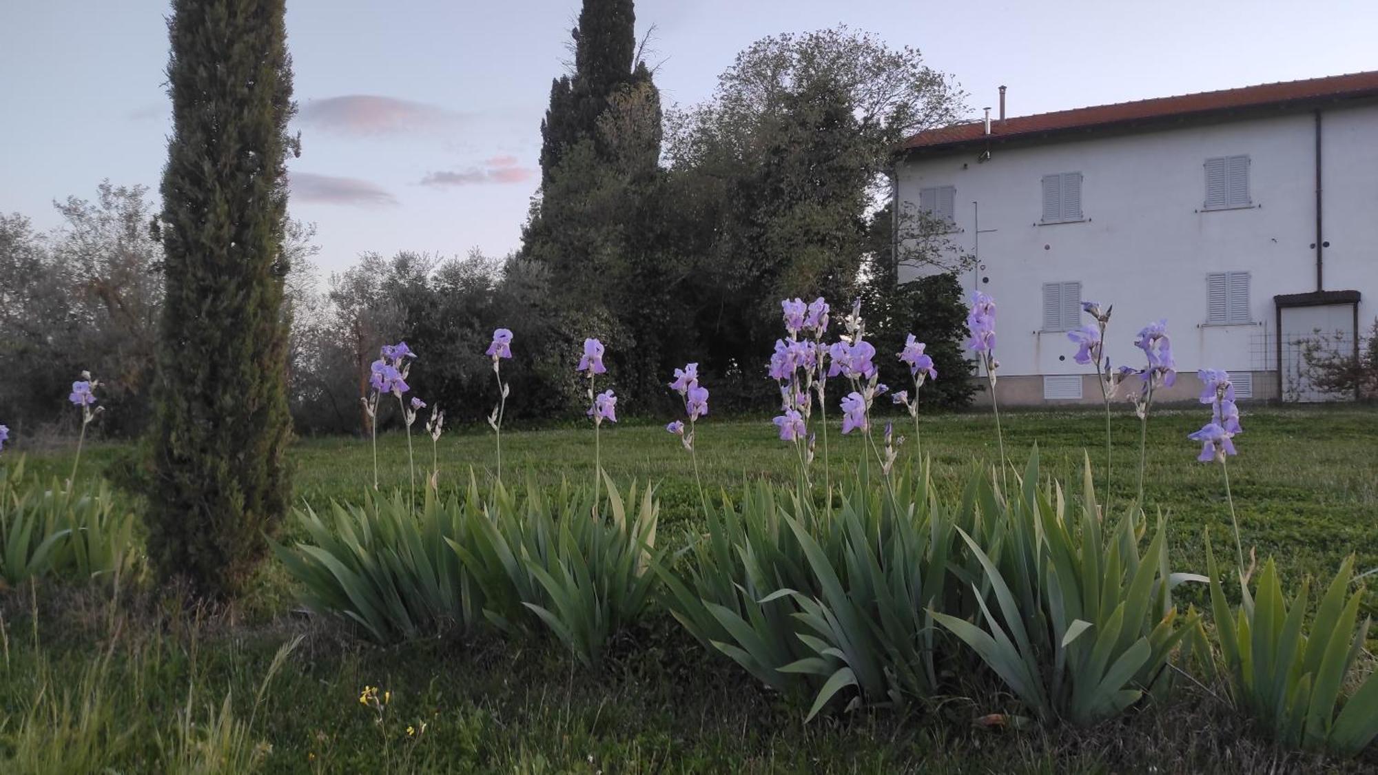 Borgo Iris Villa Pietraia Bagian luar foto