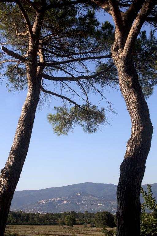 Borgo Iris Villa Pietraia Bagian luar foto