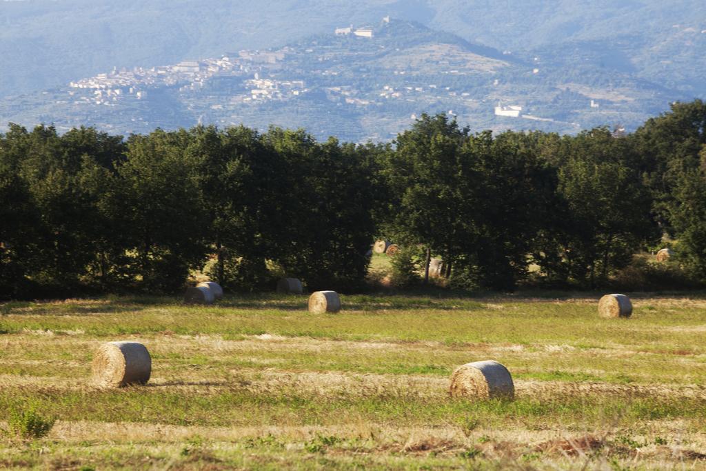 Borgo Iris Villa Pietraia Bagian luar foto